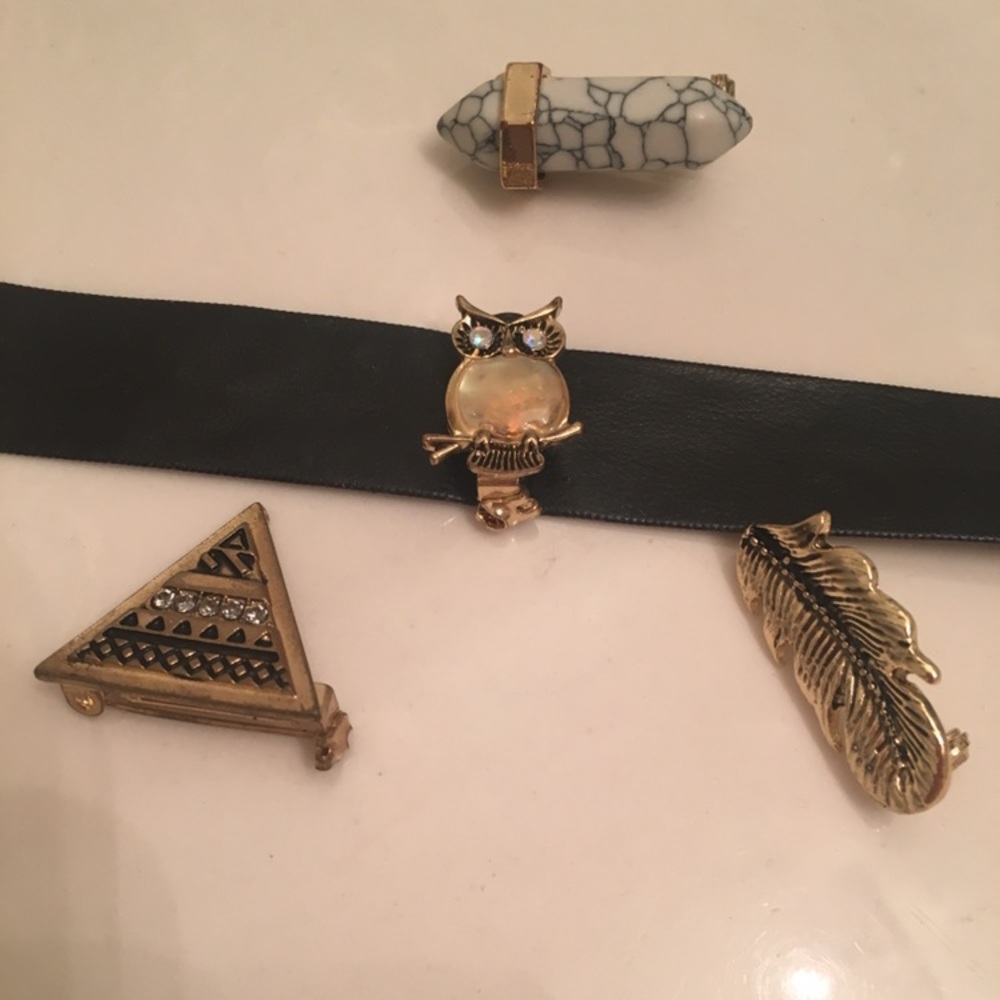 Choker necklace with interchangeable pins